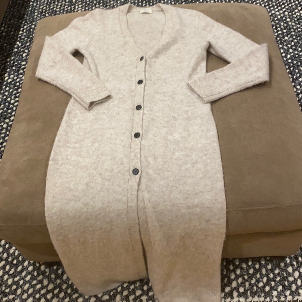 Aritzia long cardigan